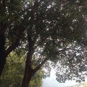 Foto von Douha Youssef