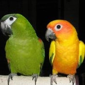 Foto de Barbara Causey Floyd
