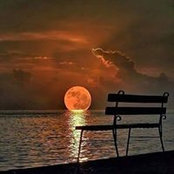 Marlene Tollett's photo
