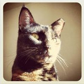 Santino Di Renzo's photo