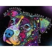 Nicole Huckvale's photo