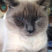 Paula Morgan's photo