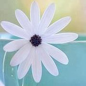 Ghada Nabih's photo