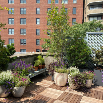 Greenwich Street Secret Garden
