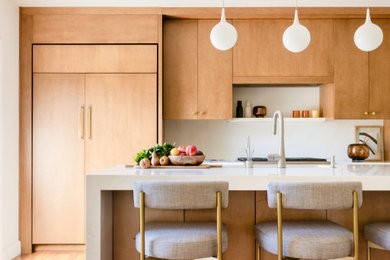 Example of a trendy kitchen design in San Francisco