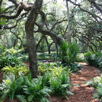 Natural Waterfall & Tropical Gardens