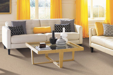 Innovia™  Touch Carpet