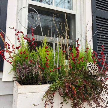 Holiday Window Boxes