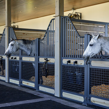 Modern Stables / horse barn