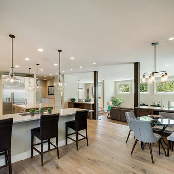 South Josephine Transitional/Industrial