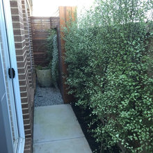 Outside
