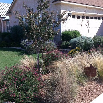 Low water lawn, grasses, native plants