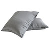 Art Silk Plain, Solid Set of 2, 26"x26" Throw Pillow Cover - Silver Gray Luxury