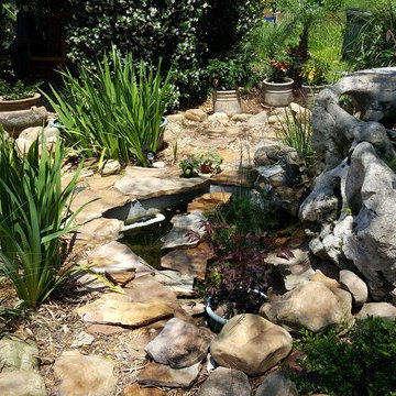 Koi Pond