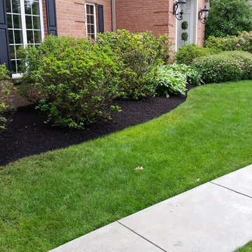 Our Work