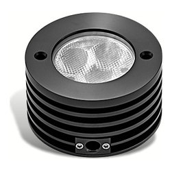 Specialty Lights - Landscape Lighting