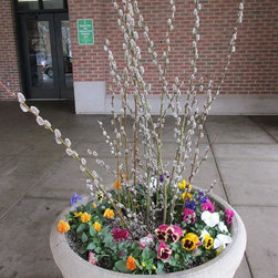 Container Gardening - Products