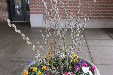 Container Gardening
