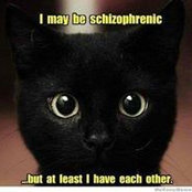 Aggie Wolf's photo