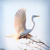 Charlene Samsel's photo