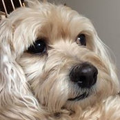 Linda Prentice's photo