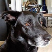 Jackie Johnson's photo