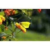 Irja Jaaskela's photo