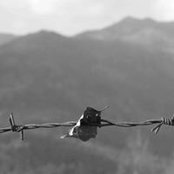 Mircea Brebeanuさんの写真