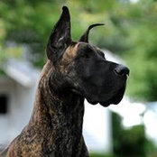Merilee Baker's photo