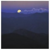 Anna Huang's photo