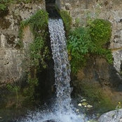 Ines's photo