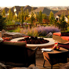 back yard