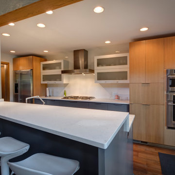 Minneapolis Whole Home Renovation 2