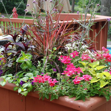 Summer Garden Containers