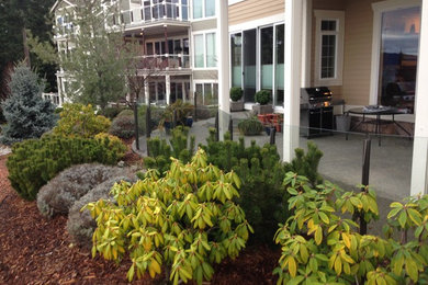 Inspiration for a mid-sized modern backyard patio remodel in Seattle with decking and no cover