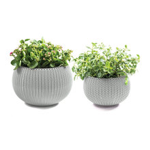 Plants and Planters