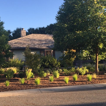 Front Lawn Removal - Los Altos