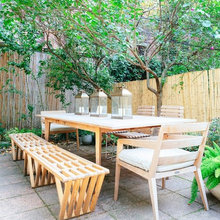 Chicago Backyard