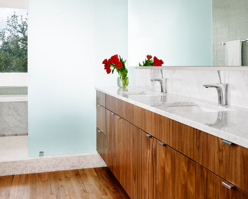 Frosted Glass Wall | Houzz