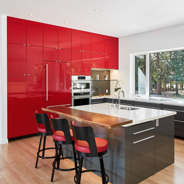 House on Grand River - Kitchen