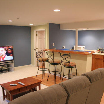 HOFFMAN ESTATES BASEMENT REMODELING