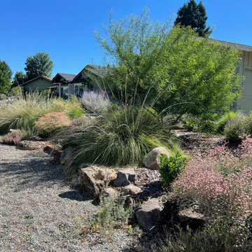 Permeable gravel paving holds rainwater for the plants