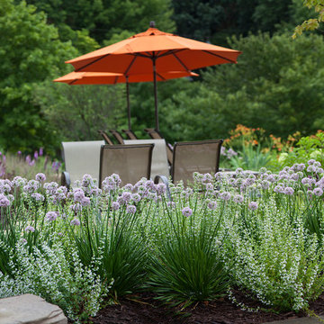 Native perennials