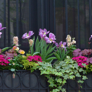 Spring Containers
