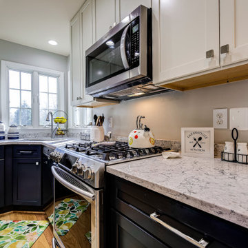 Transitional Two-finish Kitchen Design Alexandria, VA