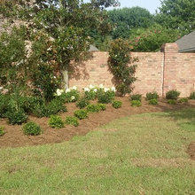Gardening, Landscape