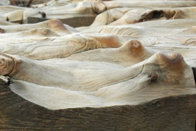 Granary wall - FAccent wall