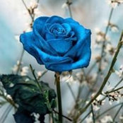 Ramona Rodriguez's photo