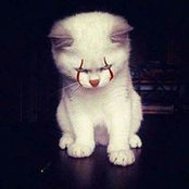 Catniss Mann's photo