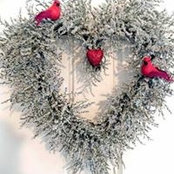 Kathleen Clark's photo